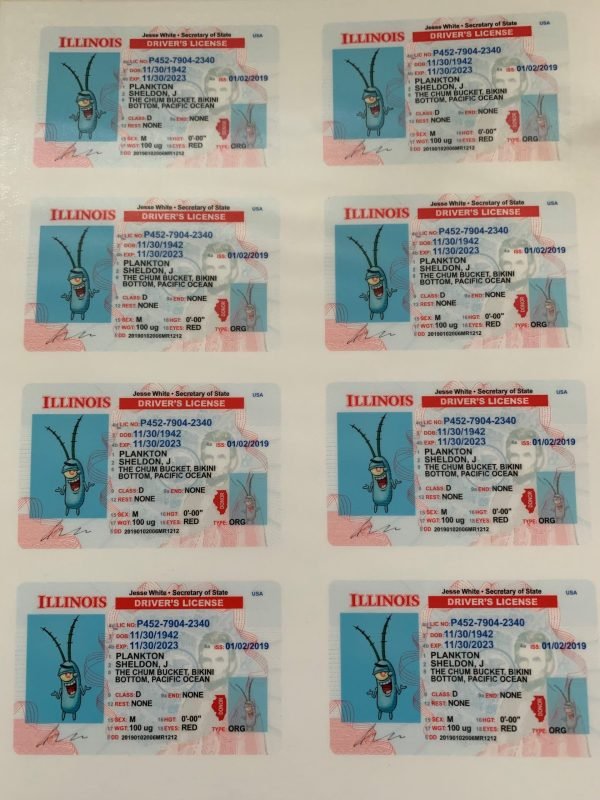 fake-id-cards-illinois-scaled-600x800