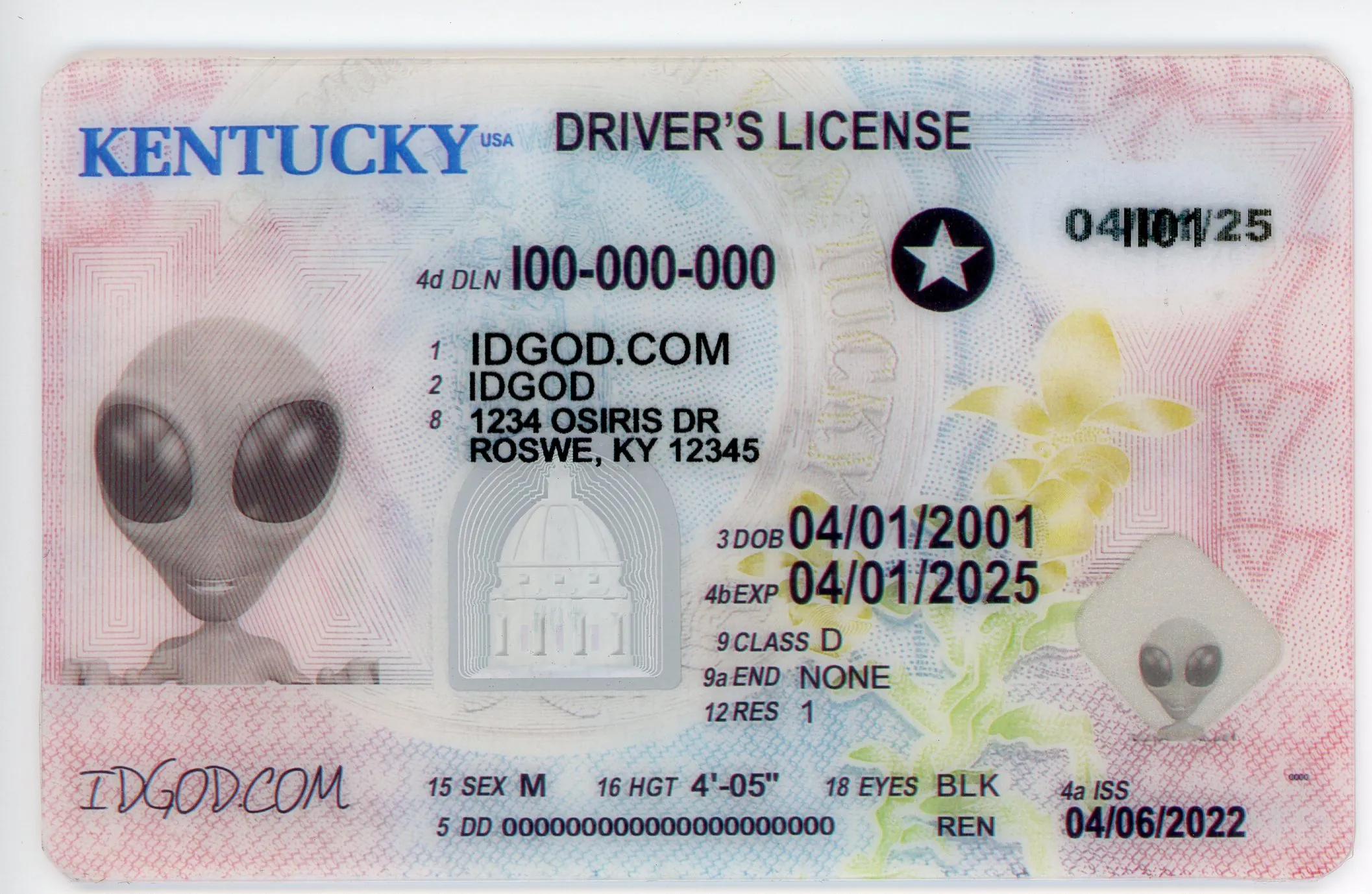 IDGod Fake ID - Kentucky Fake ID