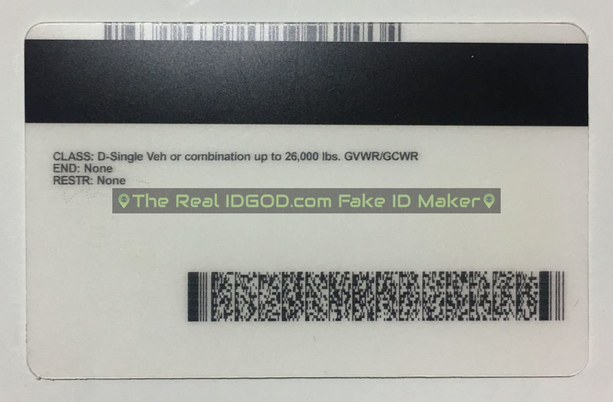 Minnesota Fake ID - Image 5