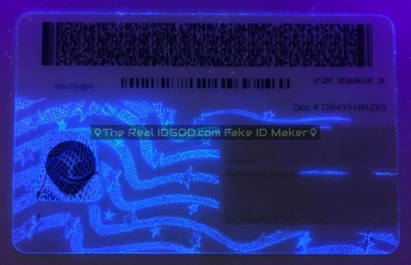 New York Fake ID - Image 4