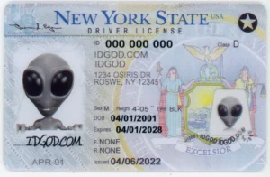 IDGod Fake ID - New York Fake ID