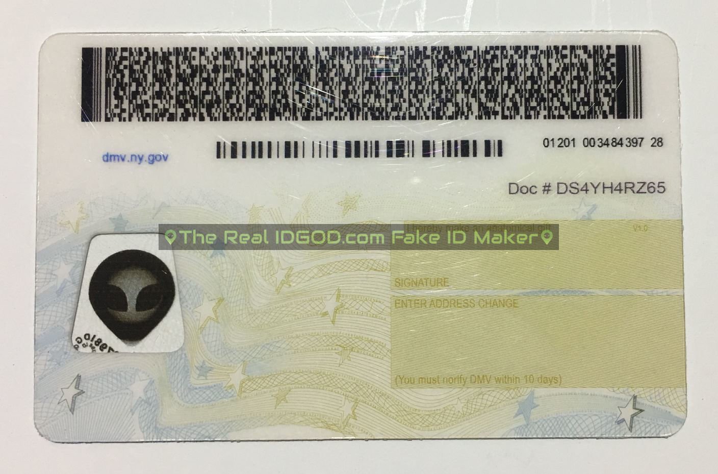 New York Fake ID - Image 2