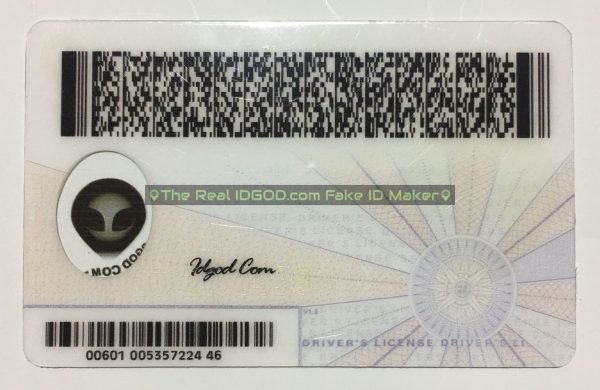 Virginia Fake ID - Image 2